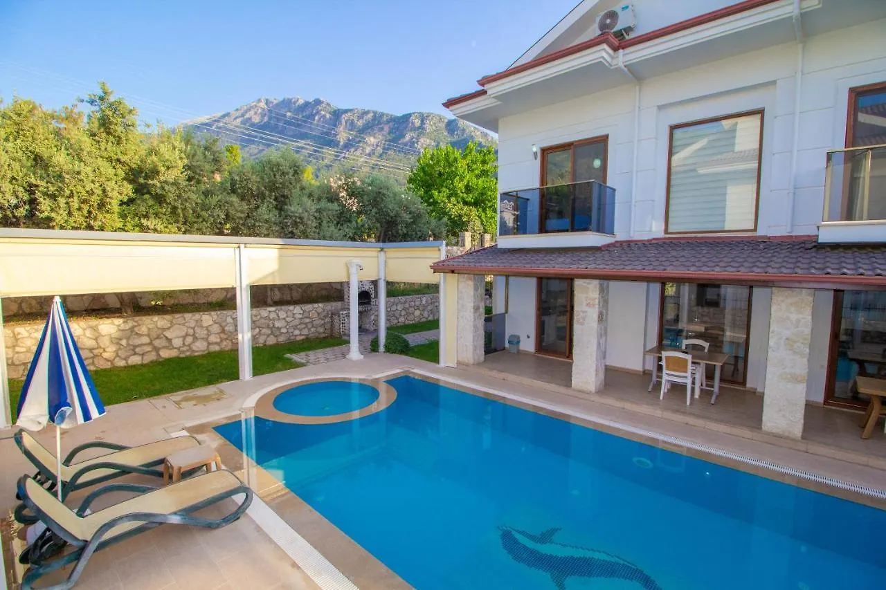 Prestij Amintas 4+1 Villa, Oezel Havuzlu, Fethiye 0*,  Turkey
